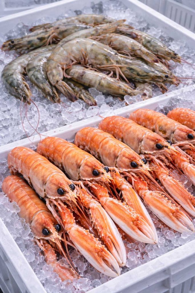 crostacei all ingrosso roma