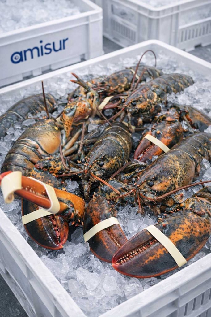 crostacei freschi roma