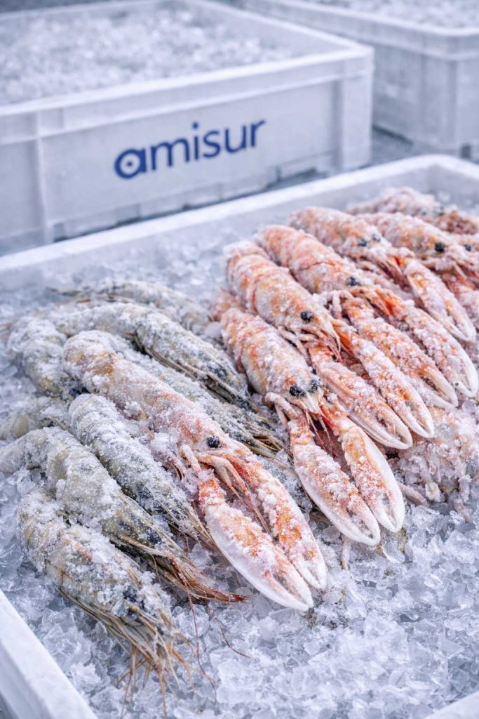 ingrosso crostacei surgelati roma