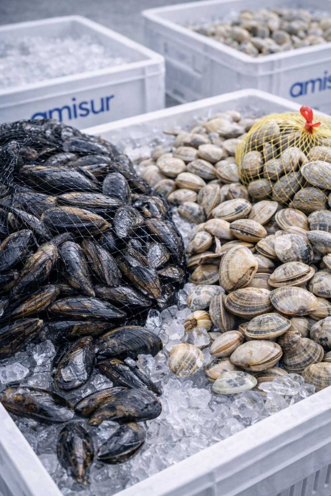 ingrosso molluschi freschi roma