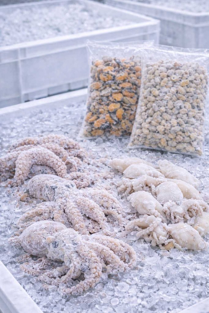 ingrosso molluschi surgelati roma