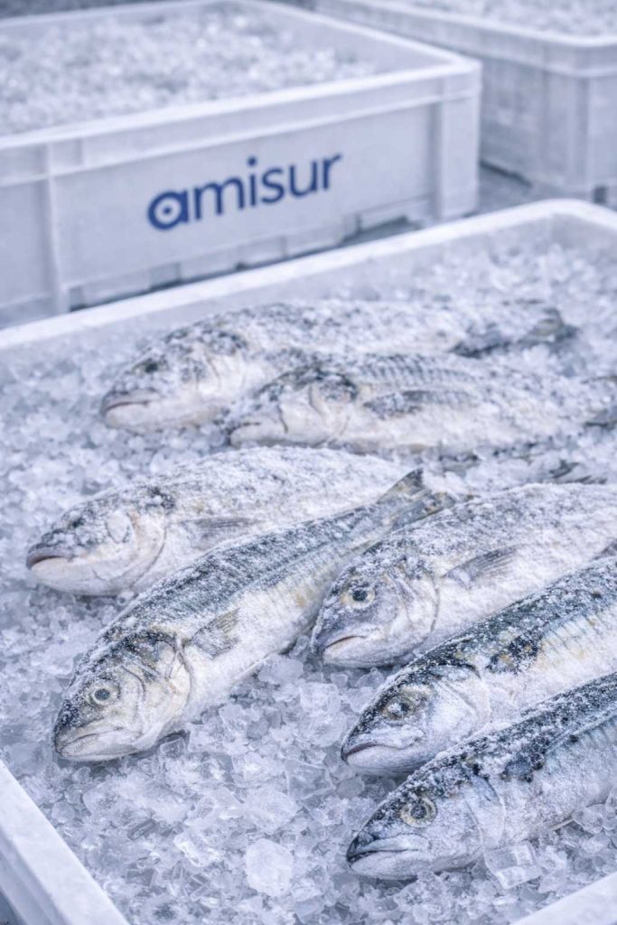 ingrosso pesce surgelato intero roma