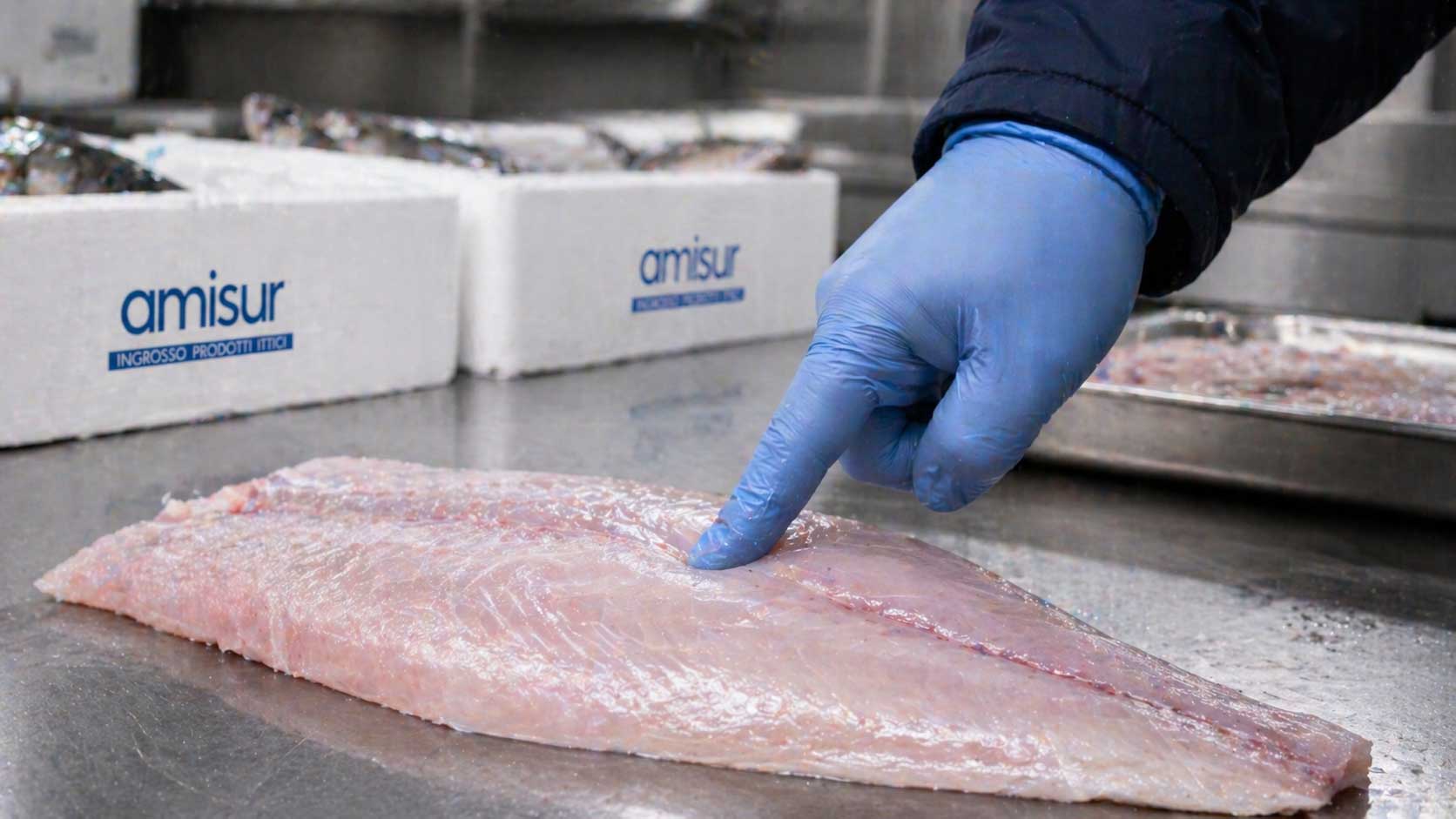 pesce fresco all'ingrosso roma